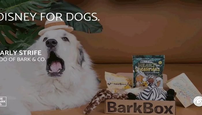 Barkbox宠物经济