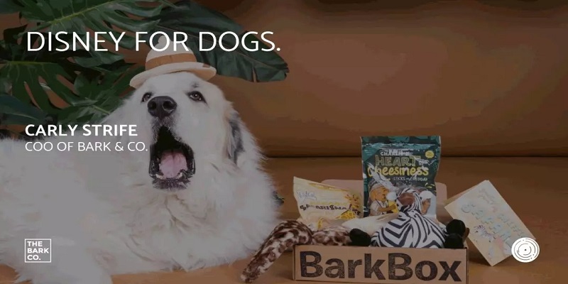 Barkbox宠物经济